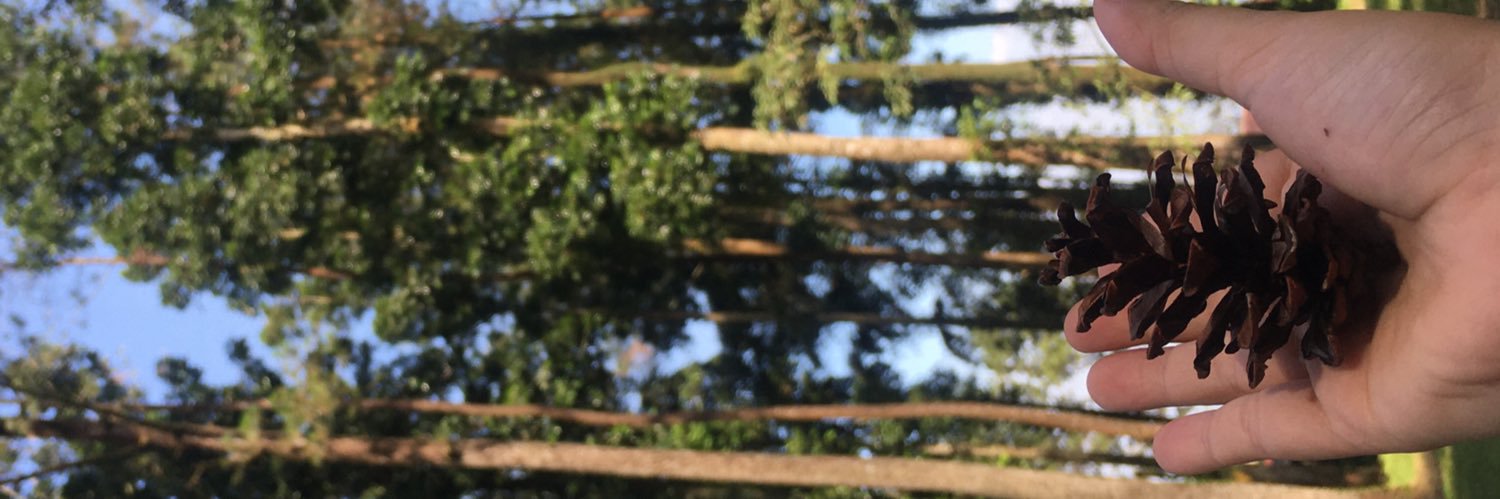 chaalien's profile banner image