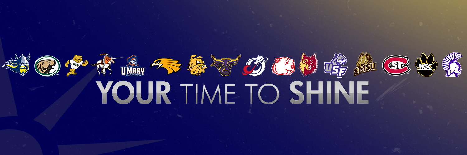 NSIC's banner