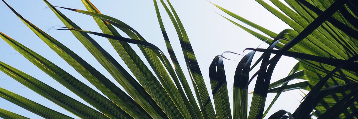 blh1904's profile banner image