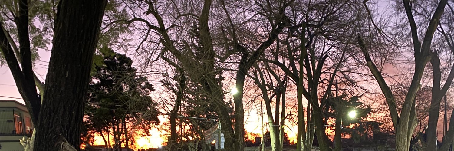 zoefernandez05's profile banner image
