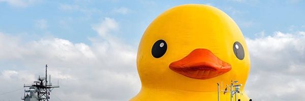 Duck banner