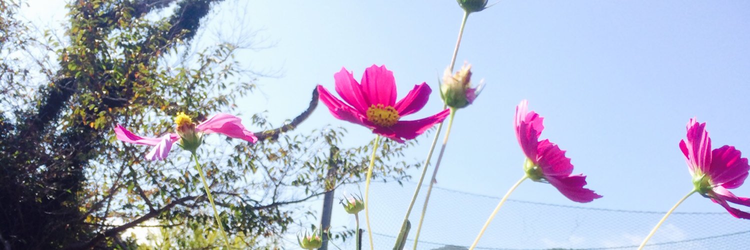 8000ma's profile banner image