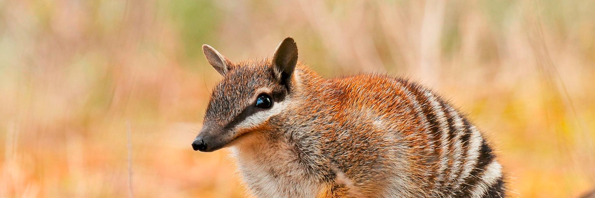 @TSCommissioner banner