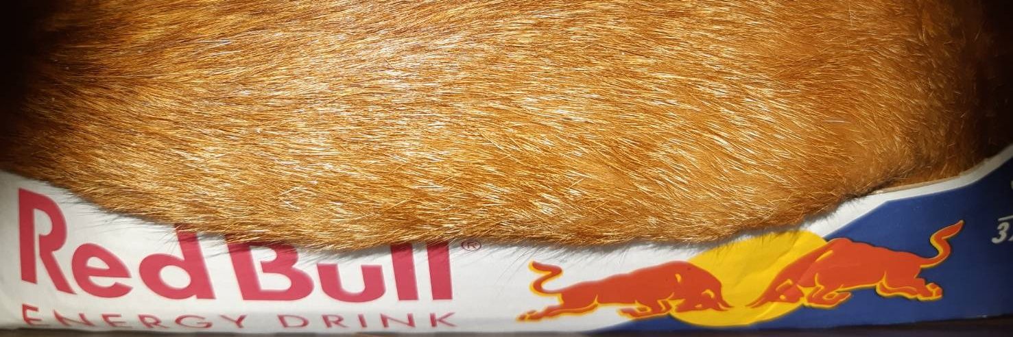 §PECTЯE@rolc banner