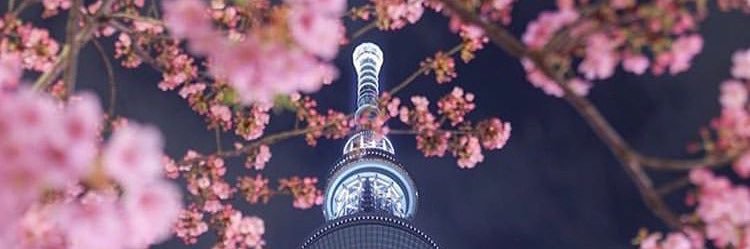satomy0727's profile banner image