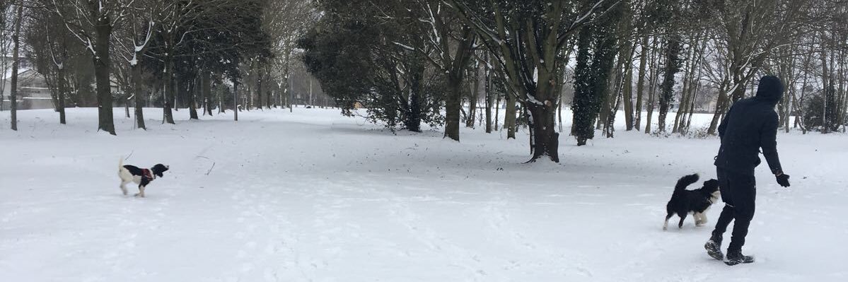 BazMcgearty's profile banner image