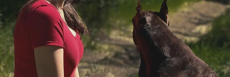 shemae101's profile banner image