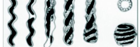 Auntie Spirocheté banner