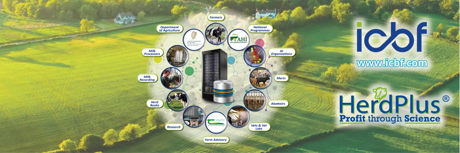 ICBF banner