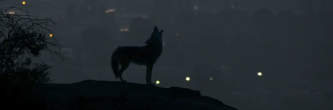 Gayaapii's profile banner image