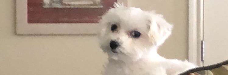 abbyfaye98's profile banner image
