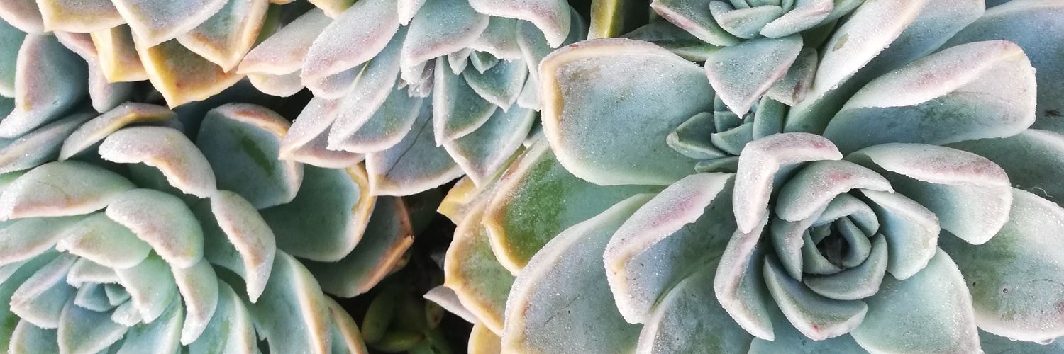 katrienking's profile banner image
