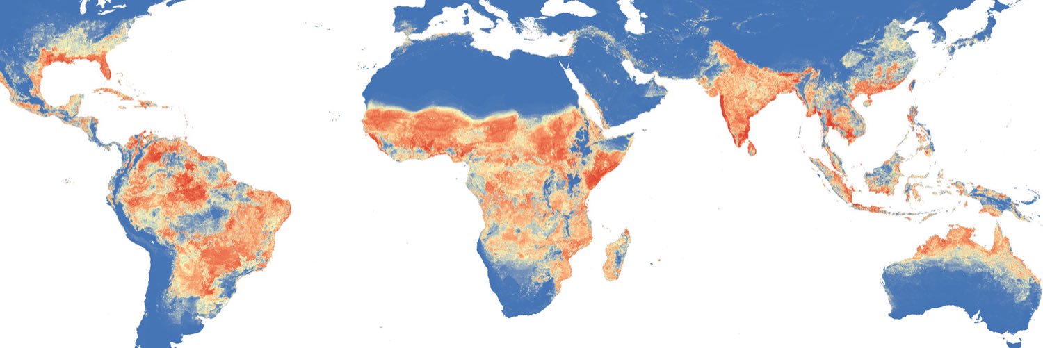 Moritz Kraemer banner