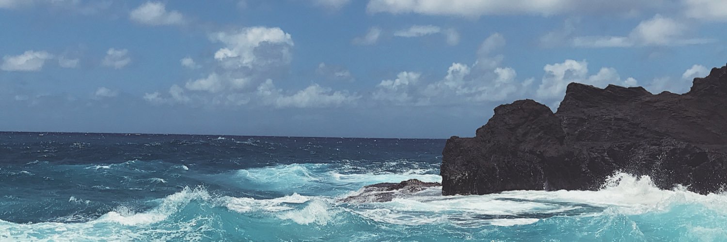 Stapfionnnn's profile banner image