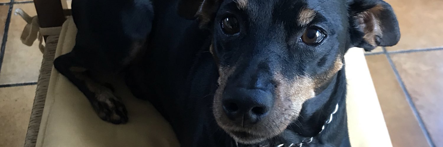 Jon A. Serén Pérez banner