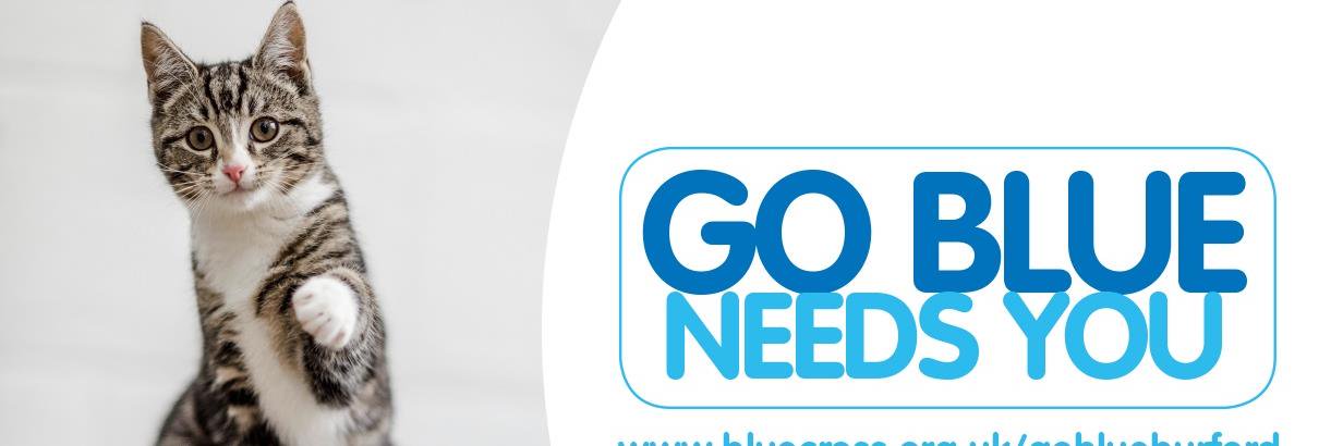 bluecross_BAC's profile banner image