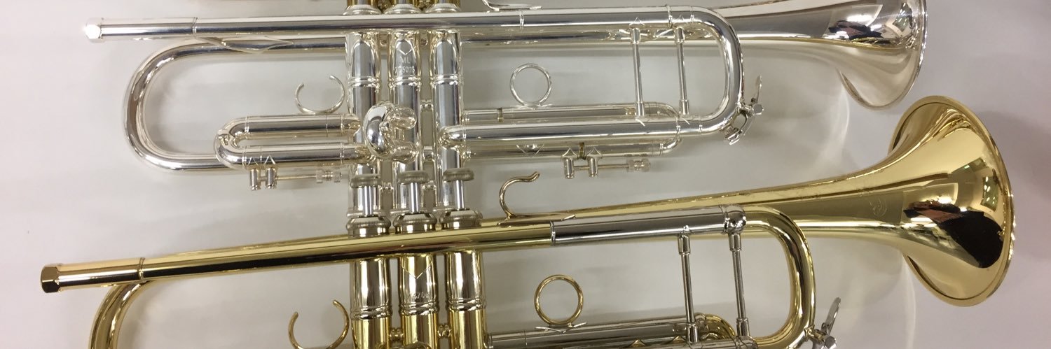 maicchobix's profile banner image