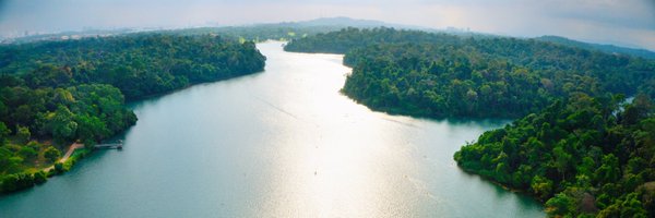 ivanleomk Profile Banner