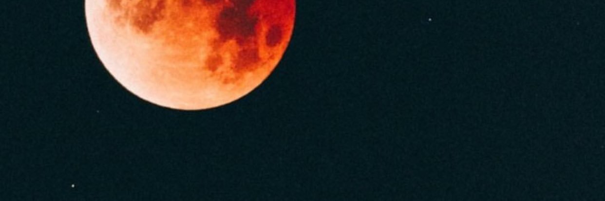 kasseroles's profile banner image