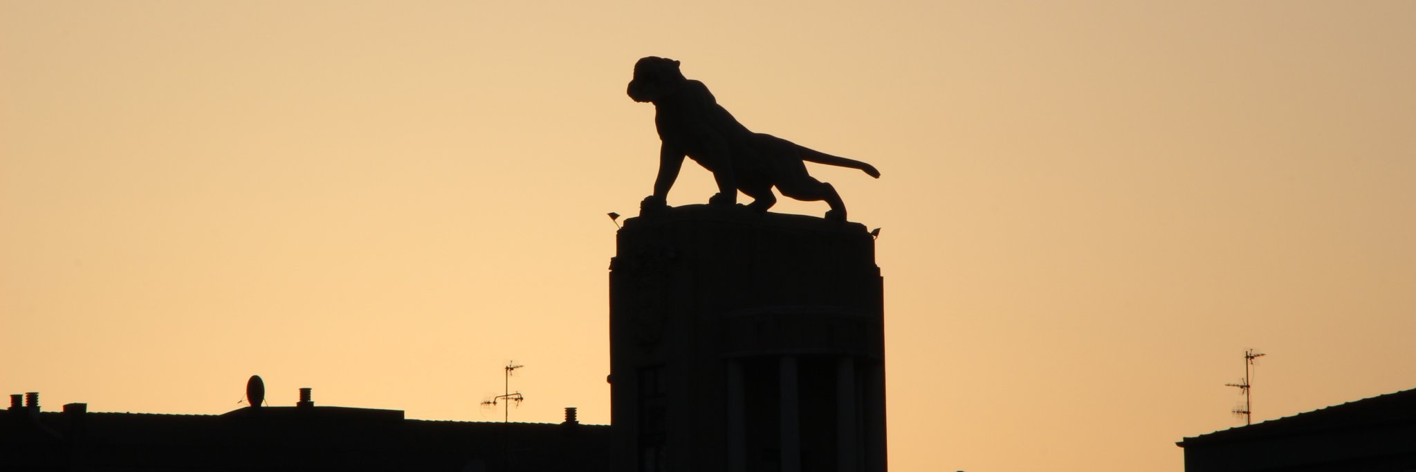 Asier Barrenetxea banner