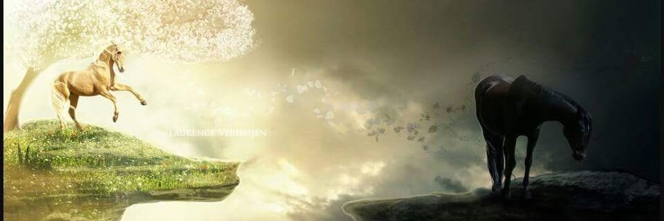 ddmote's profile banner image