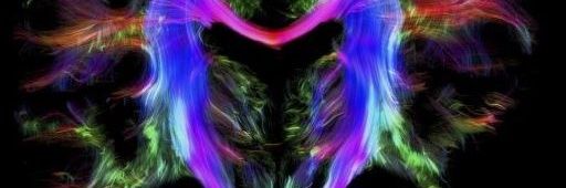 MinelliFlavio's profile banner image