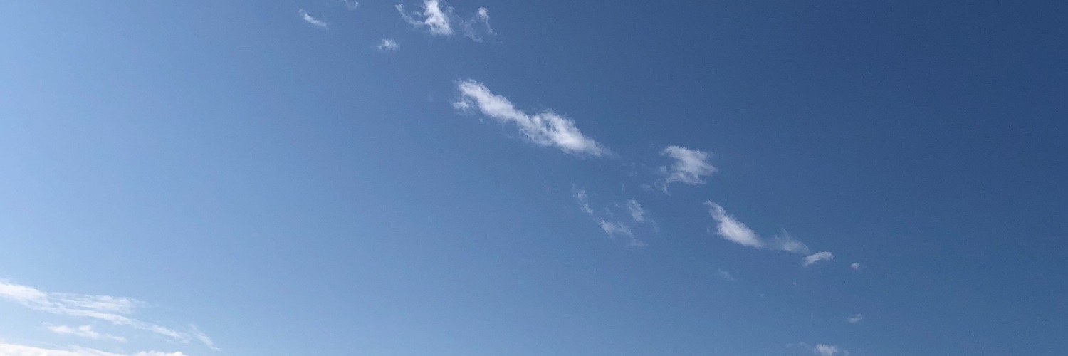 春山桜 banner