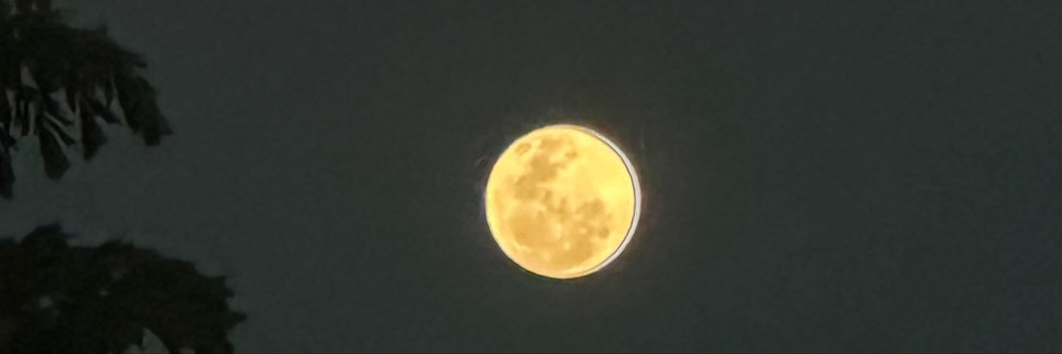 sarieta_'s profile banner image