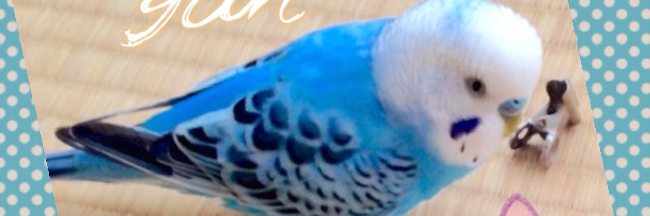 mike_4656's profile banner image