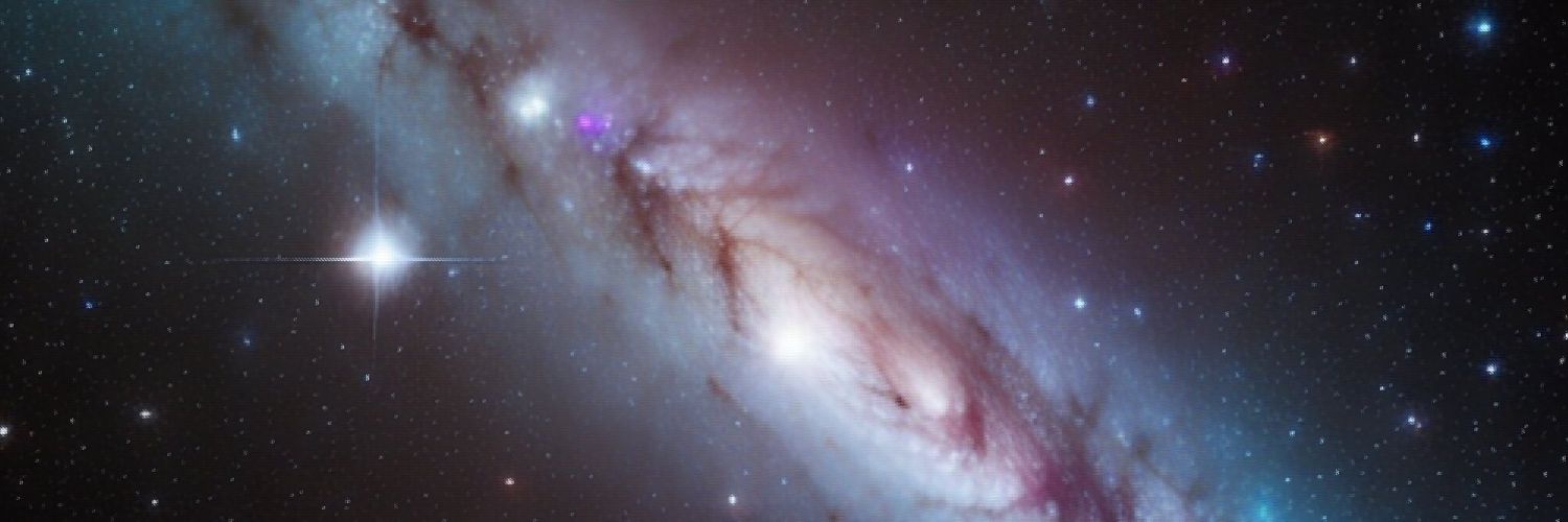 Mr. Berwanger banner