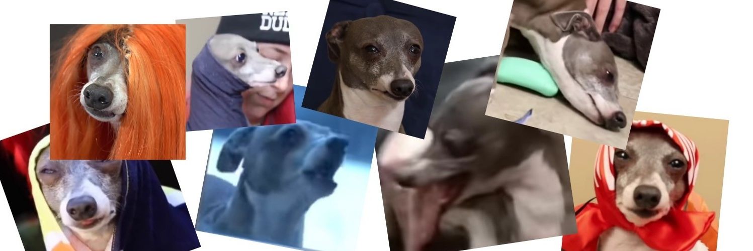 prettywannabe's profile banner image