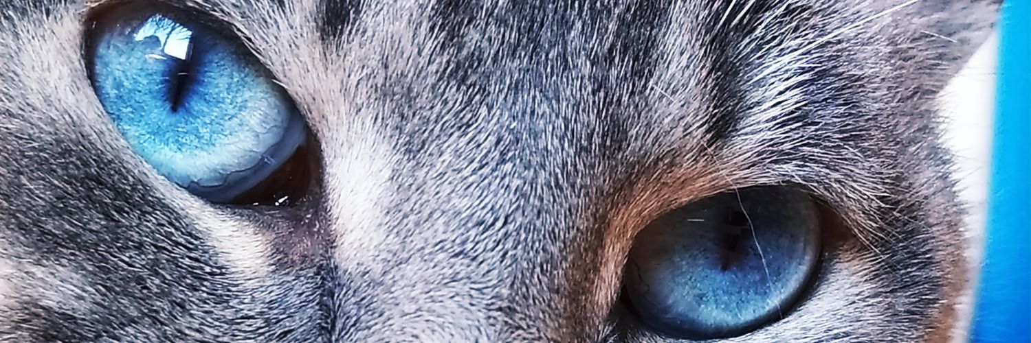 luuciaperezd's profile banner image