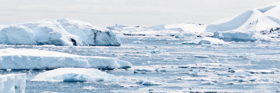 Yayasan Penyelidikan Antartika Sultan Mizan banner