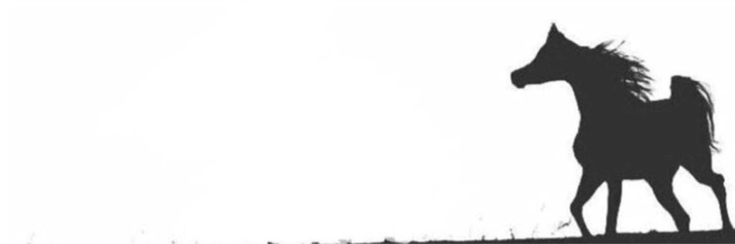 bo7035's profile banner image