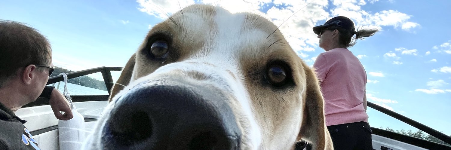 Delon_Musk's profile banner image