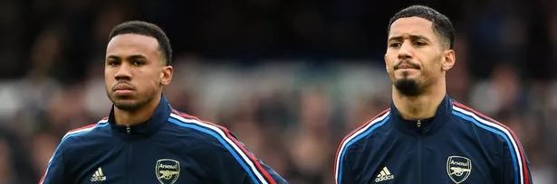 Marsy banner
