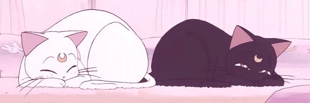 siierragrace's profile banner image