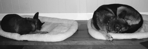 brianwfrank Profile Banner