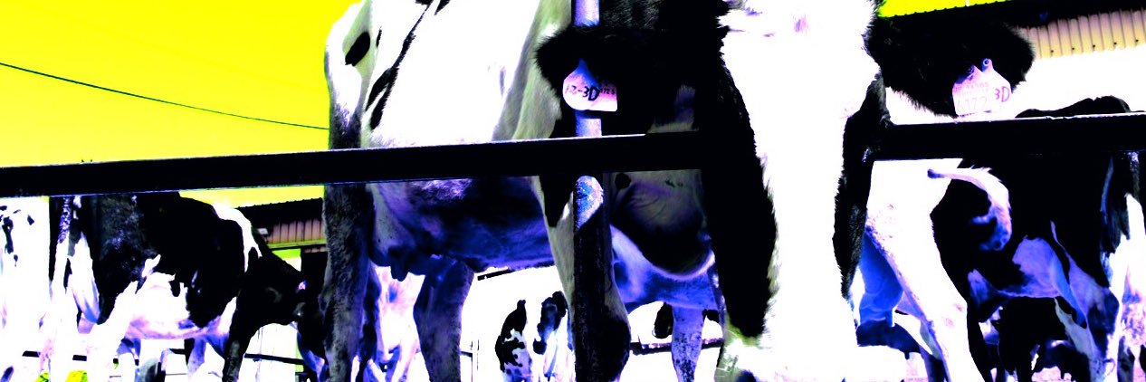 Yo-suke | YoP Works | 泉佐野 banner