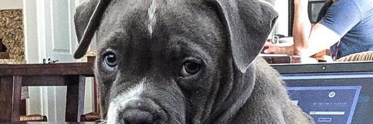 mariasoledadhid's profile banner image