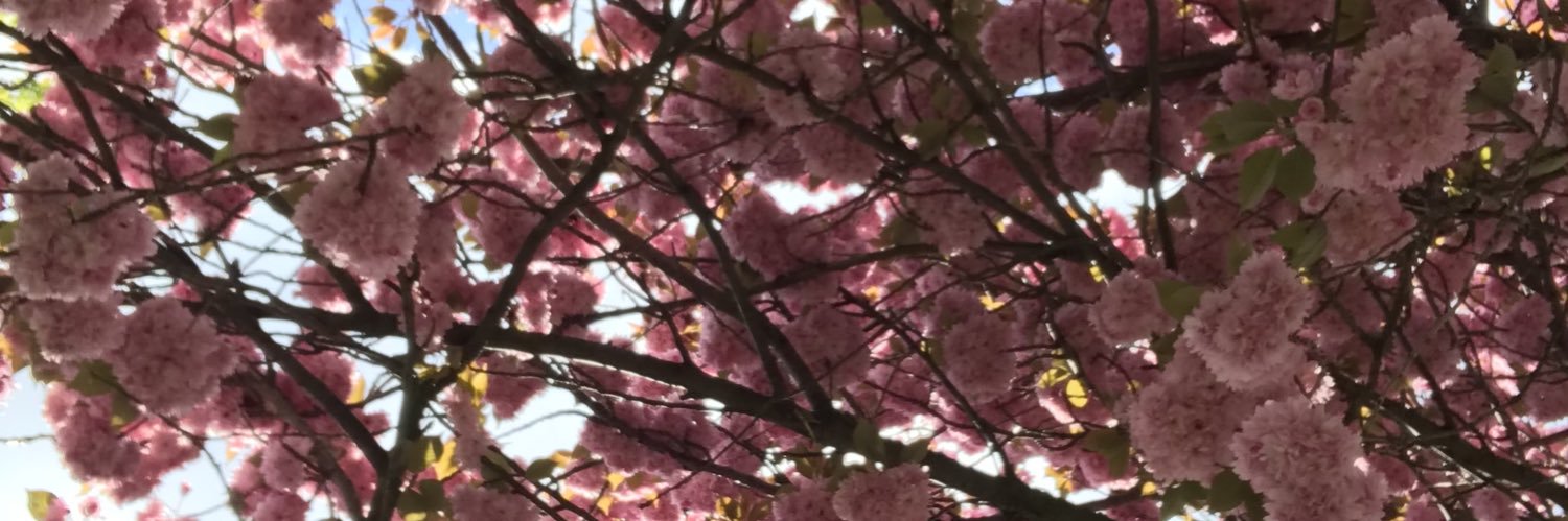 androckirl's profile banner image