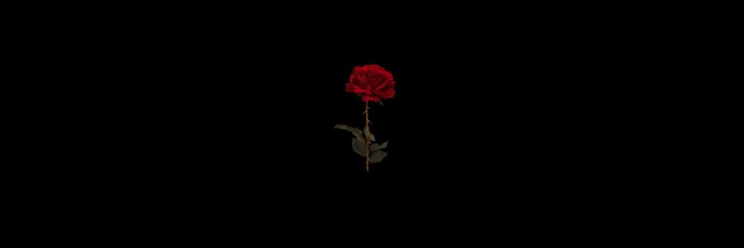 George_Tarabay's profile banner image
