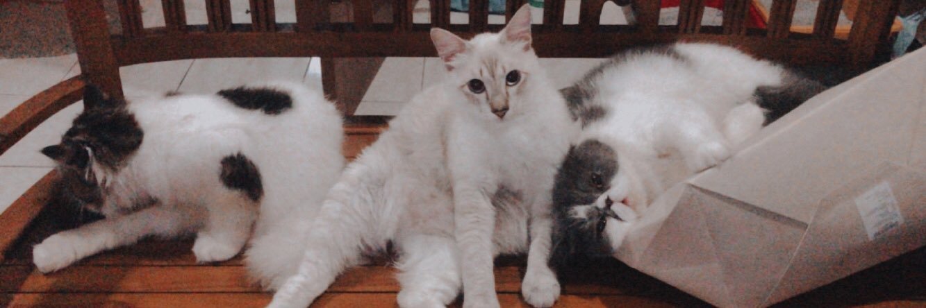 farahazmn's profile banner image