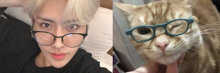 ricky's personal pillow. banner