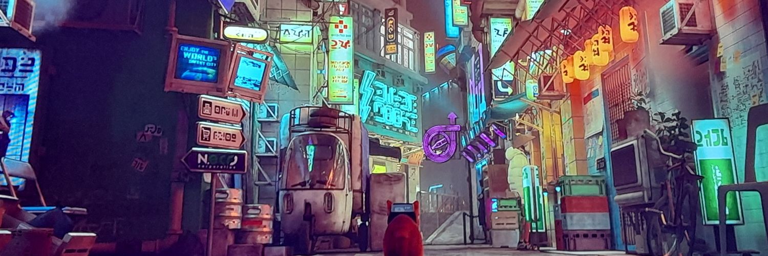Mary Josh ZS banner