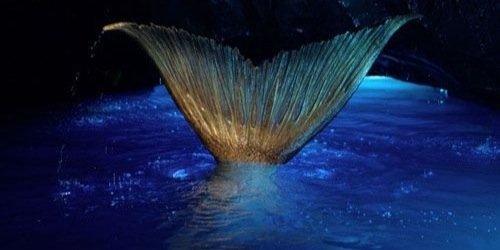JessicaG_CURP's profile banner image