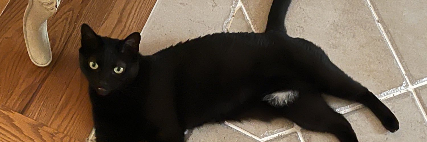 猫の従者 banner