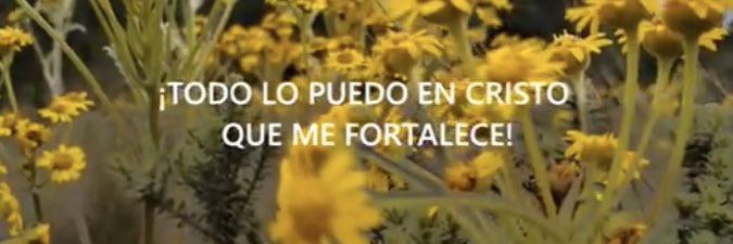 gustavo vargas🌎🌳🌲 banner