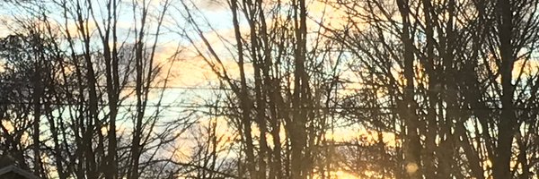 KborgesPR Profile Banner