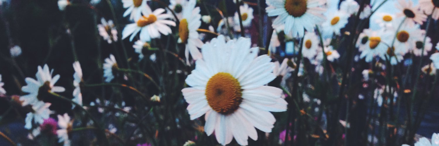 ohbails's profile banner image